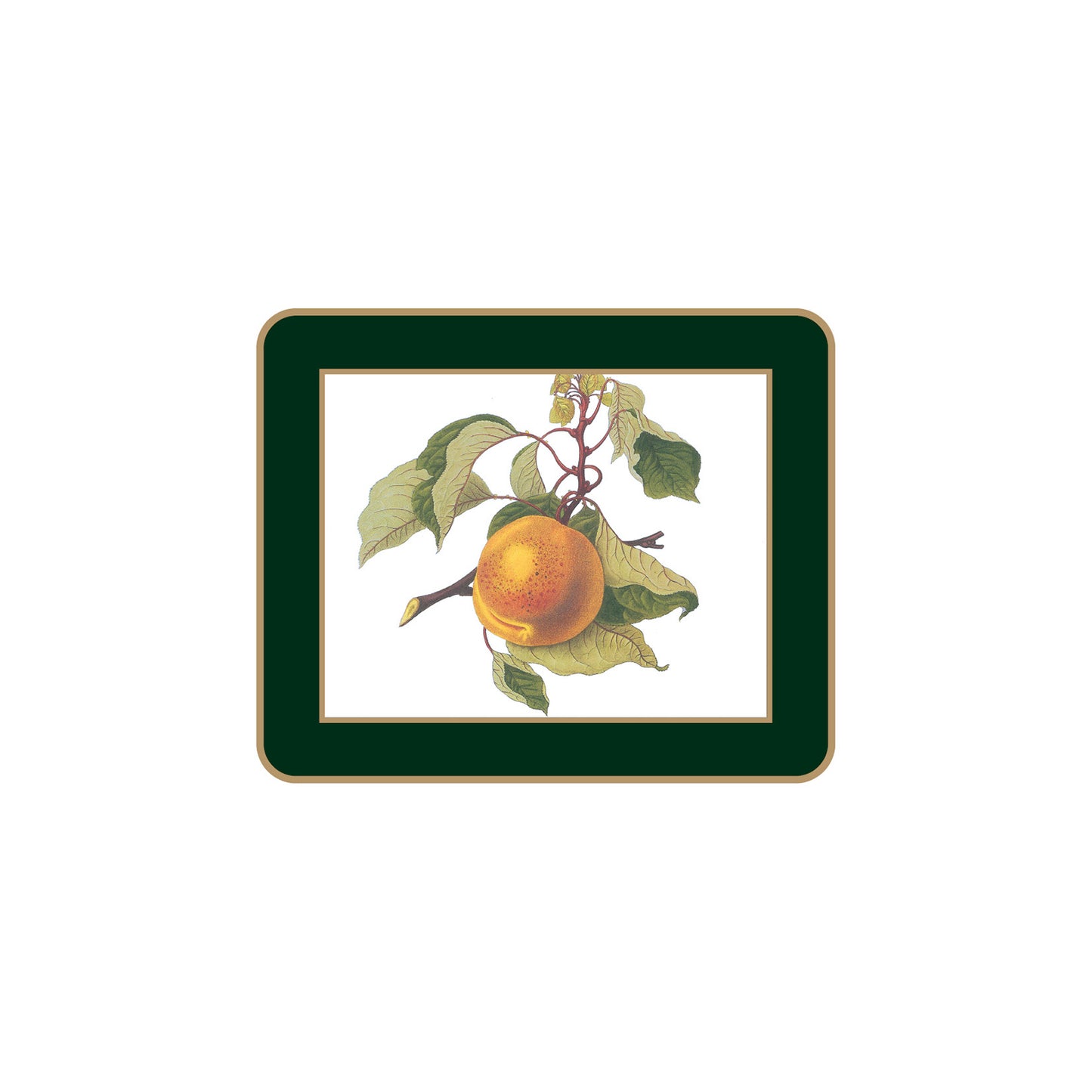 Traditional Coasters Hooker Fruits