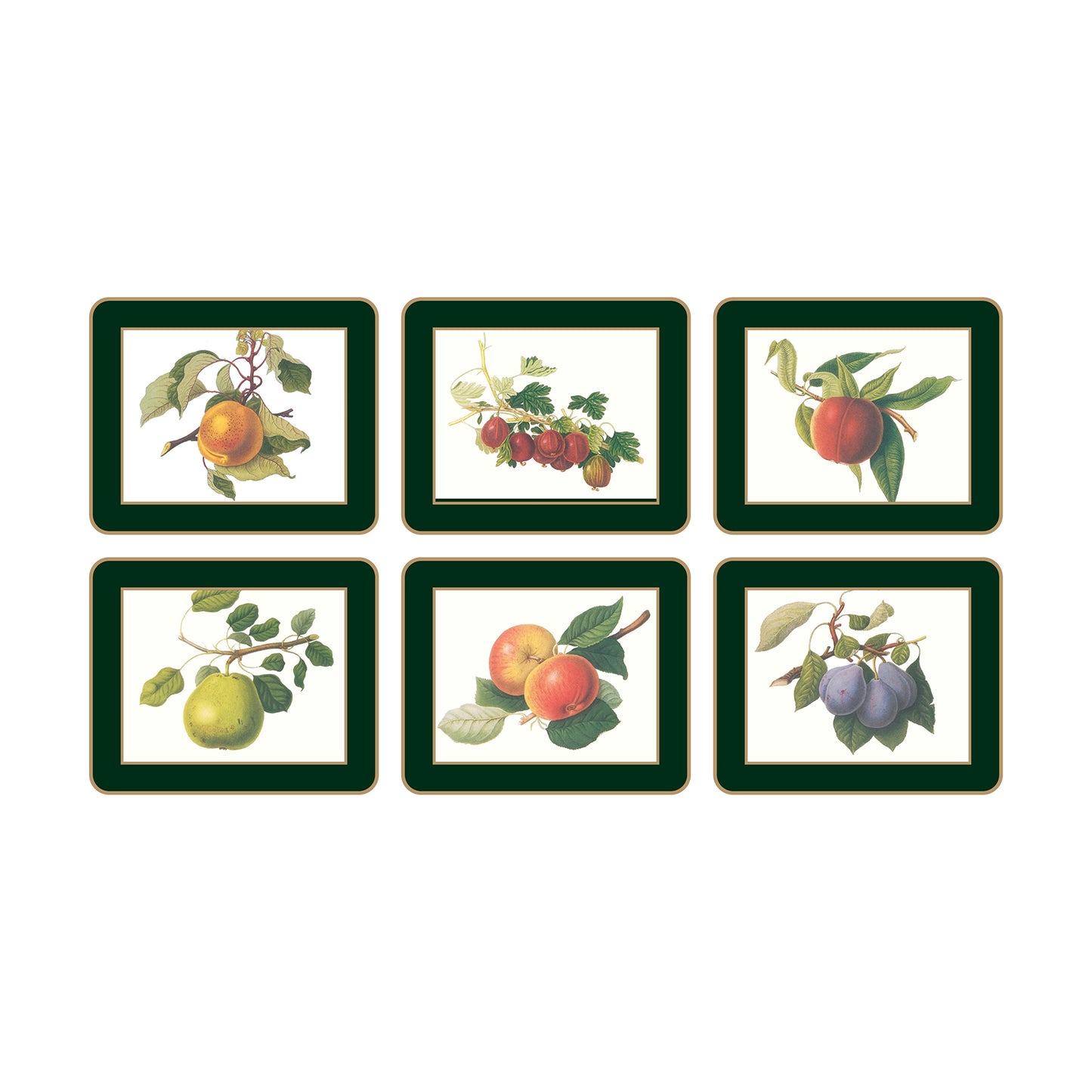 Traditional Coasters Hooker Fruits