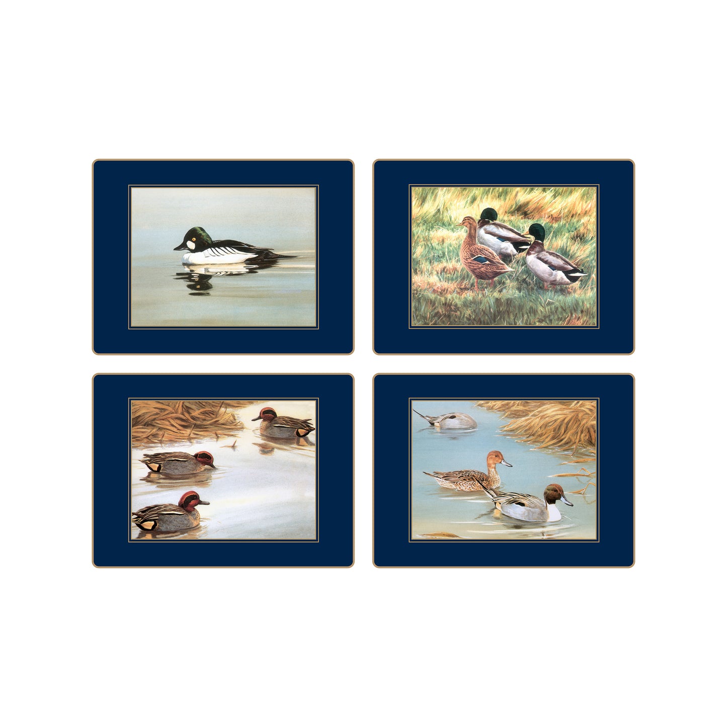 Traditional Placemats Wildfowl