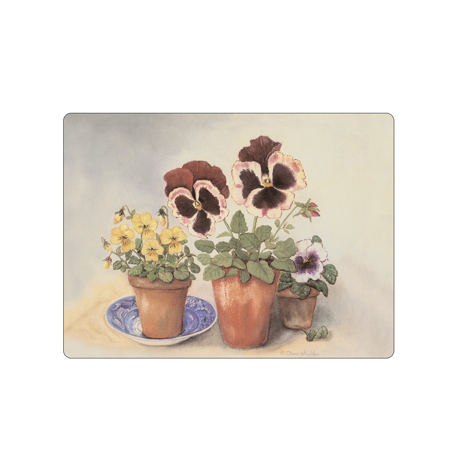 Pansies & Violas