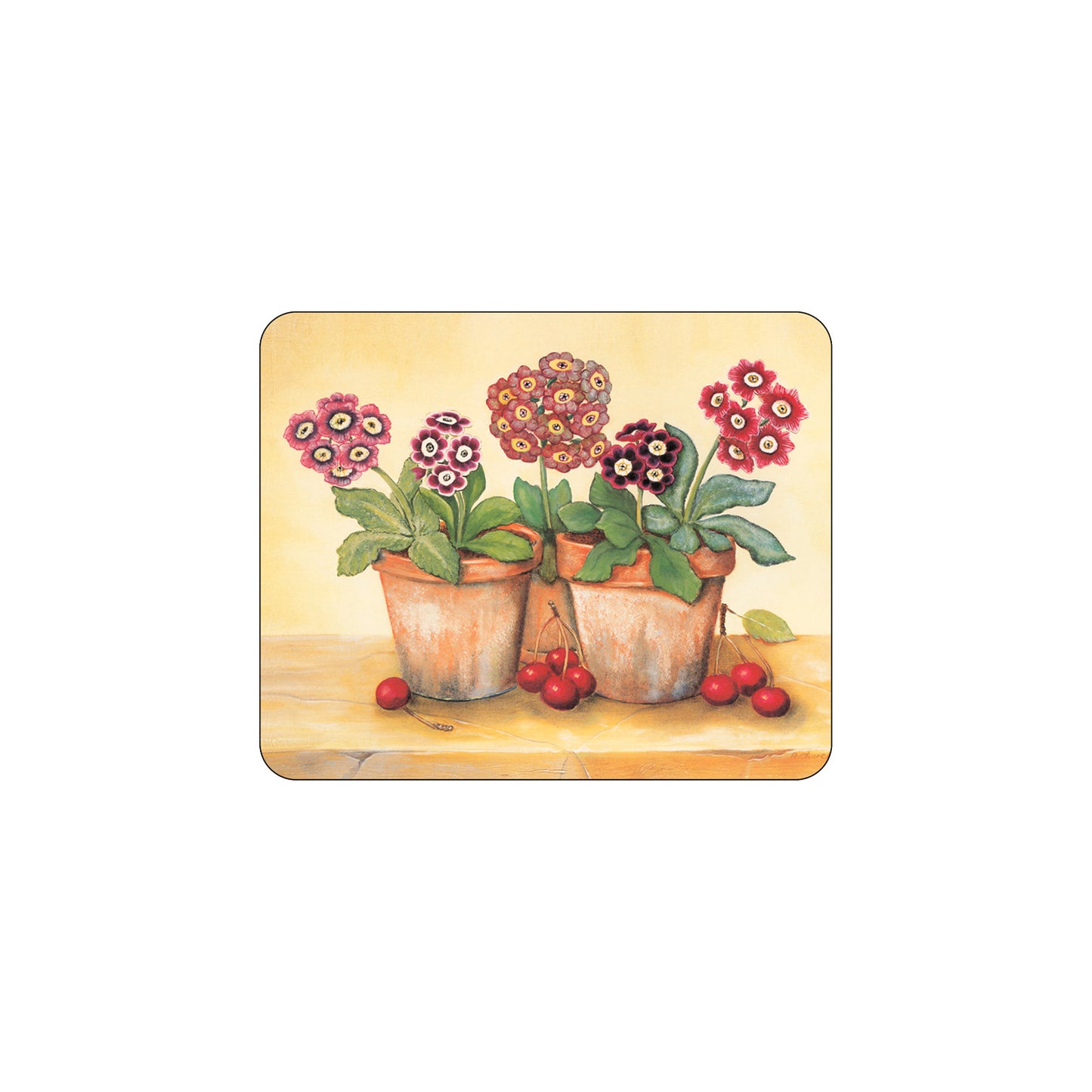 Melamine Coasters Auriculas