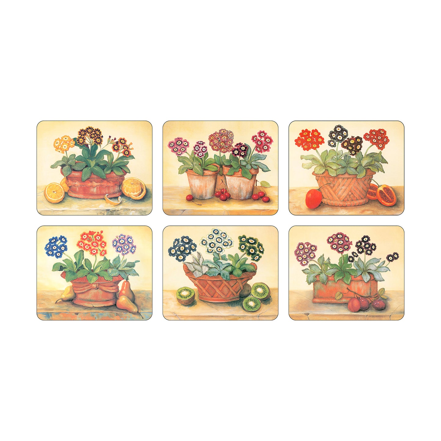 Melamine Coasters Auriculas