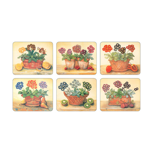 Melamine Coasters Auriculas