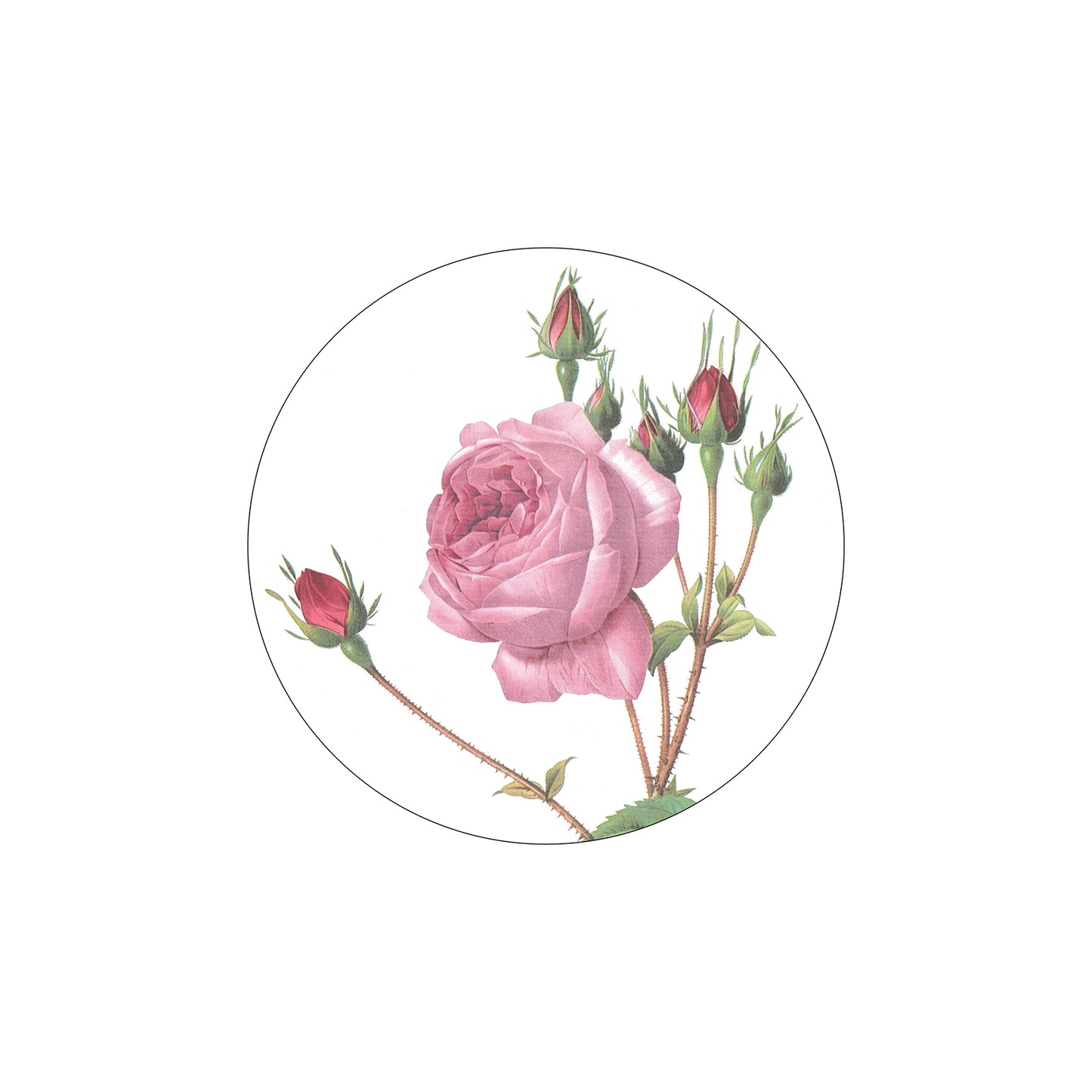 Melamine Round Placemats Redoute Roses