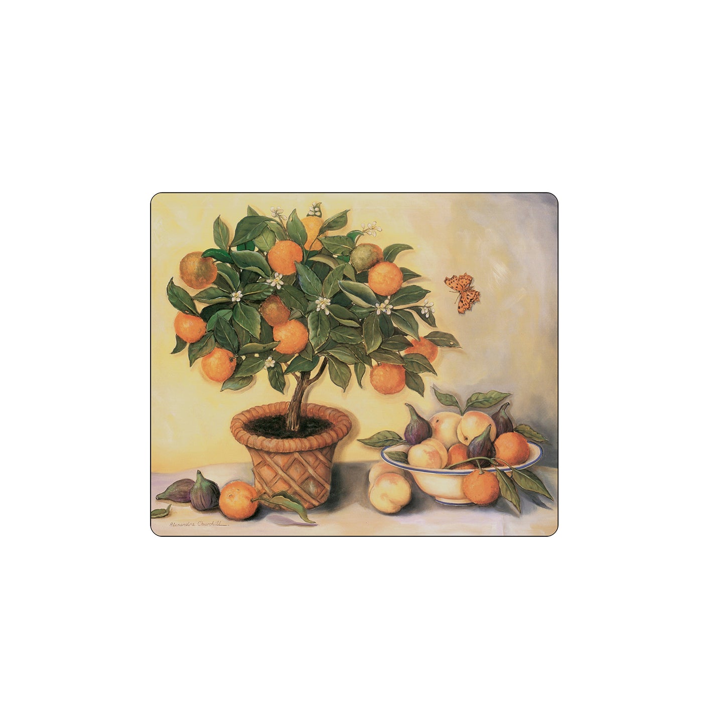 Melamine Tablemats Orange Tree